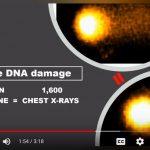 Reflex Study- DNA Damage of Cell Phone vs X-RAYs