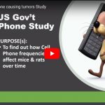 US Government’s Cell Phone & EMF Study