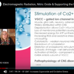 Electromagnetic Radiation, Nitric Oxide & Supporting the Nitrate/Nitrite NO Pathway – CLICK VIDEO LINK BELOW